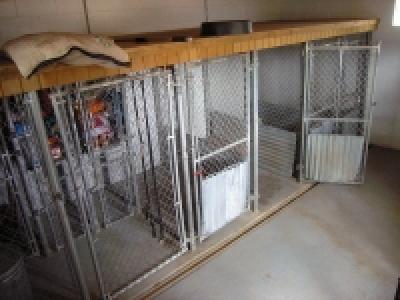 Dog kennel